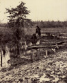 Soldiers' graves near the edge of the run on the Battlefield of  First Bull Run (First Manassas).  